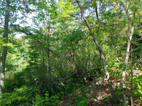 GRSM Accuracy Assessment. Plot Code: GRSM_AA_0295_5