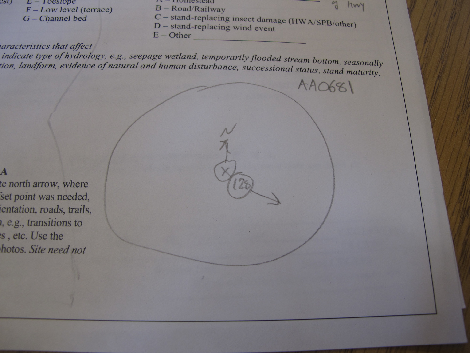 GRSM Accuracy Assessment. Plot Code: GRSM_AA_0681_7