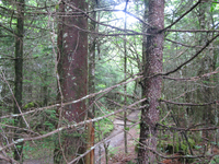 GRSM Accuracy Assessment. Plot Code: GRSM_AA_0115_2