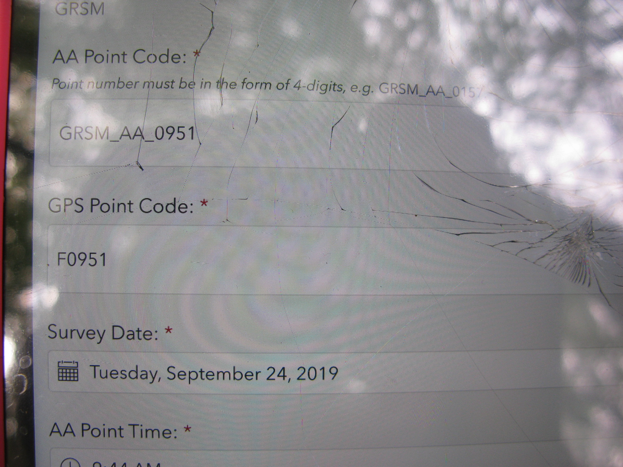 GRSM Accuracy Assessment. Plot Code: GRSM_AA_0951_1