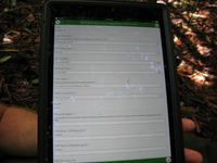 GRSM Accuracy Assessment. Plot Code: GRSM_AA_0134_1