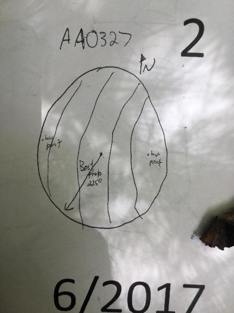 GRSM Accuracy Assessment. Plot Code: GRSM_AA_0327_map