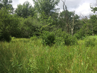 GRSM Accuracy Assessment. Plot Code: GRSM_AA_0670_4