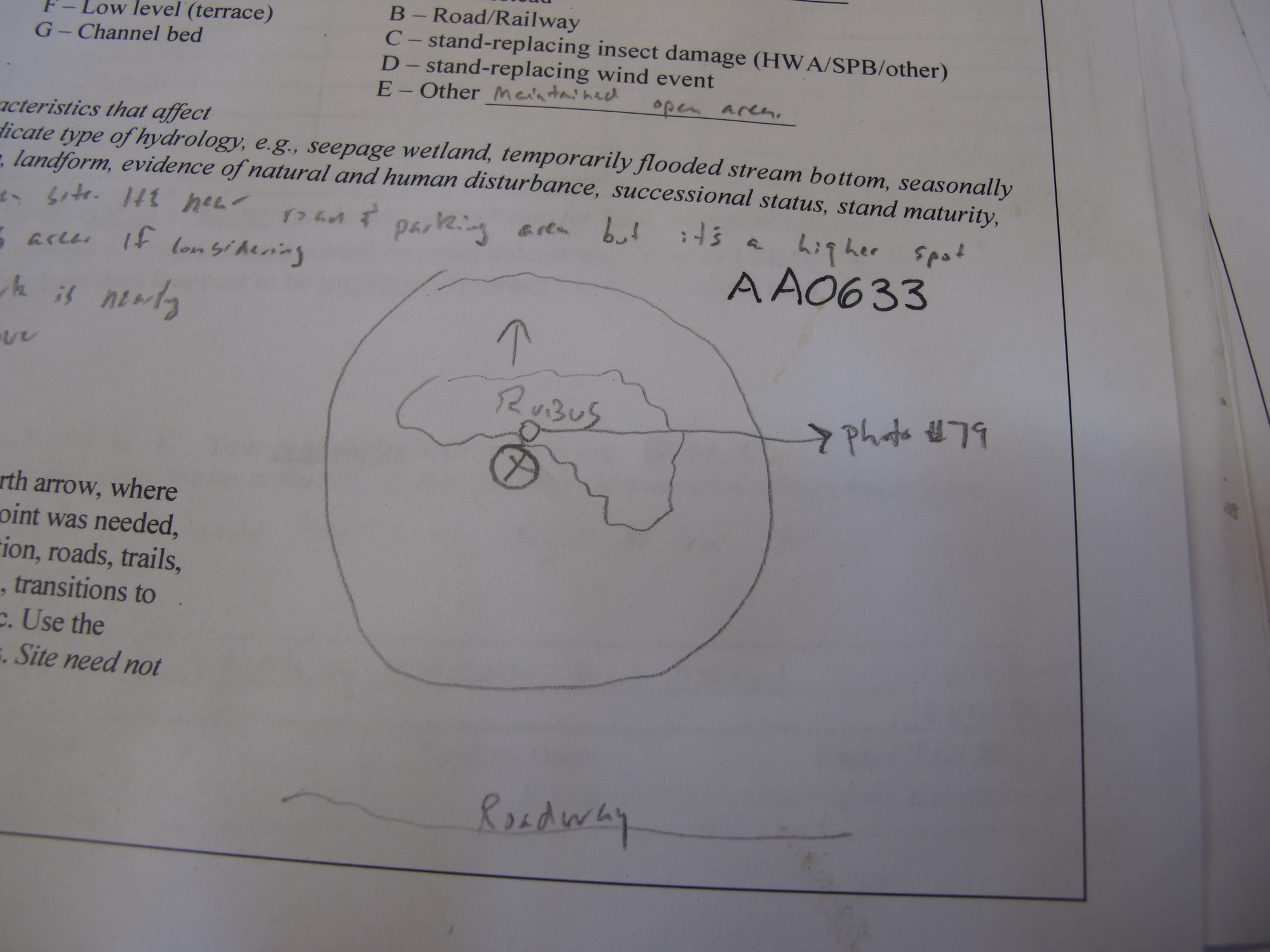 GRSM Accuracy Assessment. Plot Code: GRSM_AA_0633_7