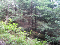 GRSM Accuracy Assessment. Plot Code: GRSM_AA_0156_6