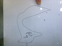 GRSM Accuracy Assessment. Plot Code: GRSM_AA_0670_7