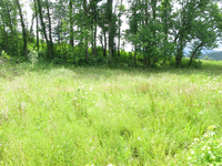 GRSM Accuracy Assessment. Plot Code: GRSM_AA_0833_4