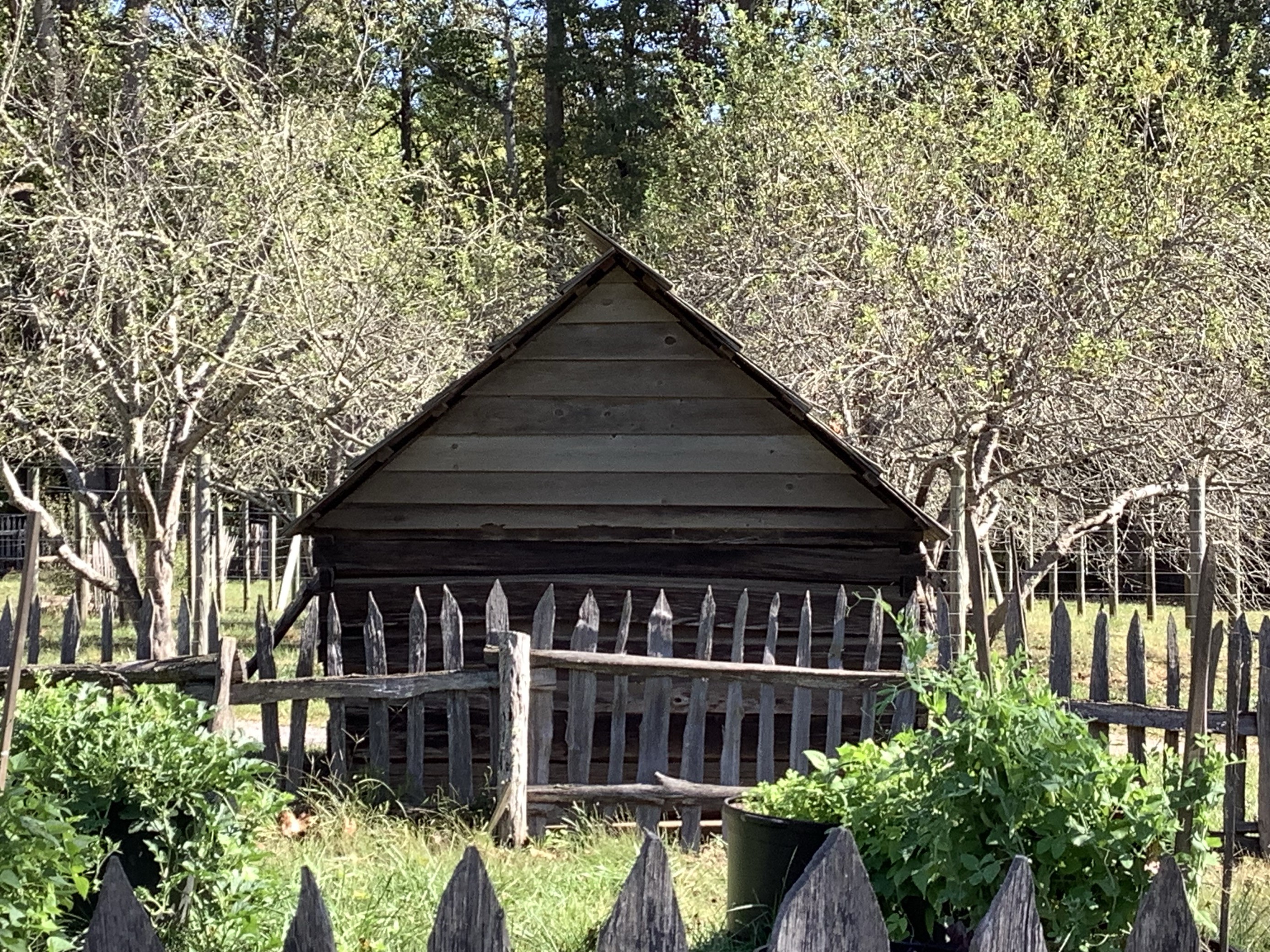 Image of Jenkins Chicken Coop
