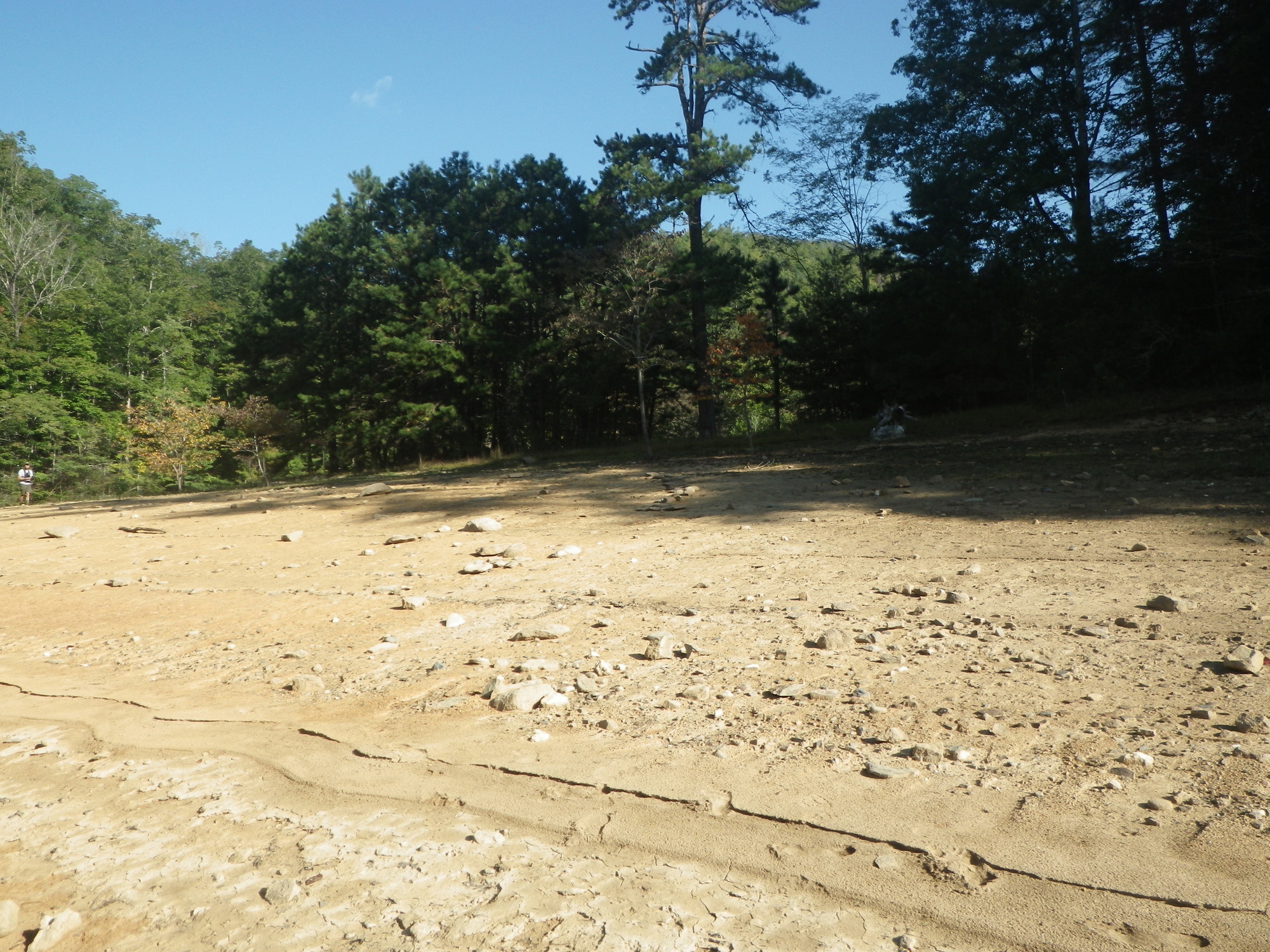 GRSM Accuracy Assessment. Plot Code: GRSM_AA_0028_2