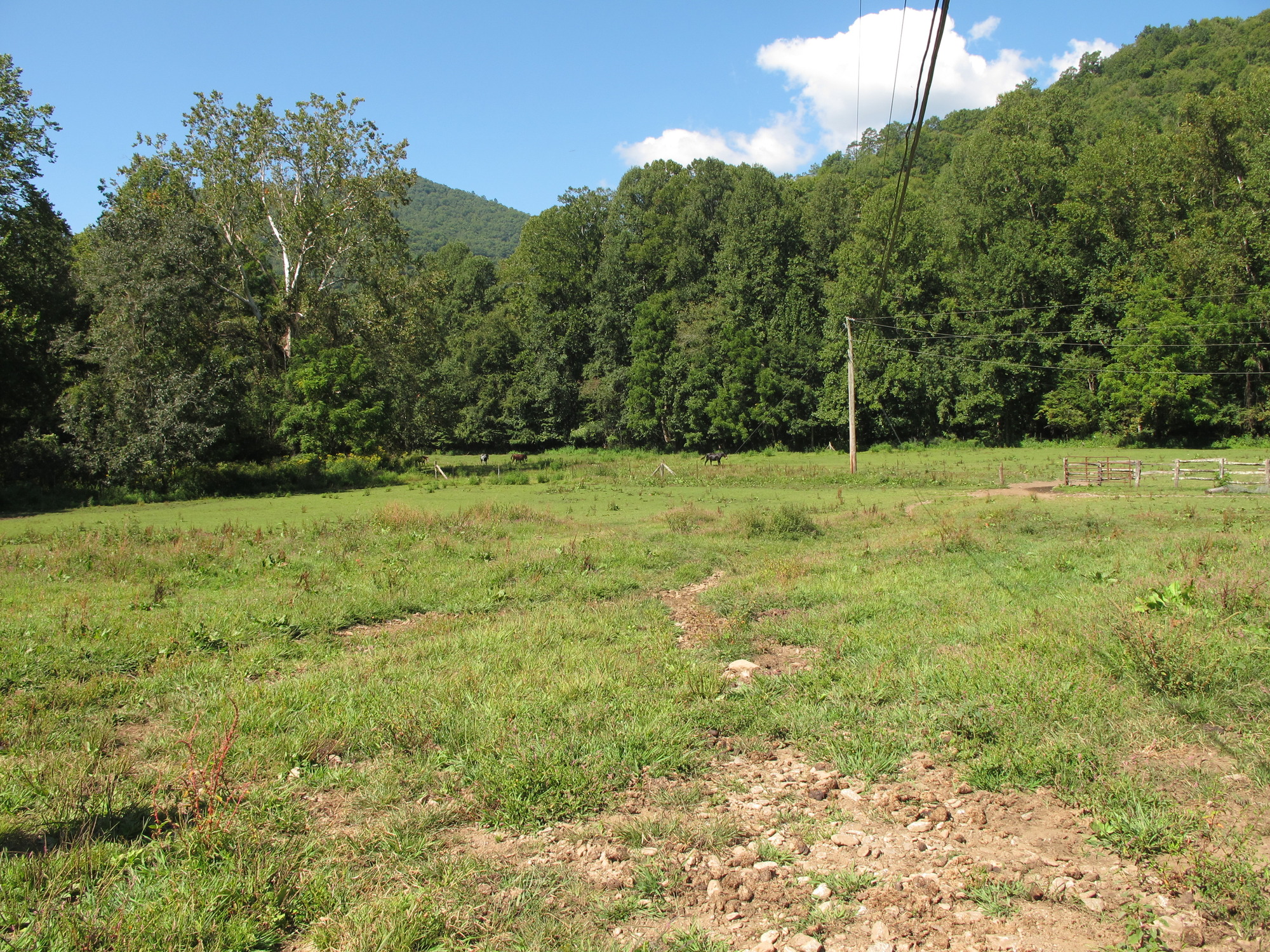 GRSM Accuracy Assessment. Plot Code: GRSM_AA_0807_5