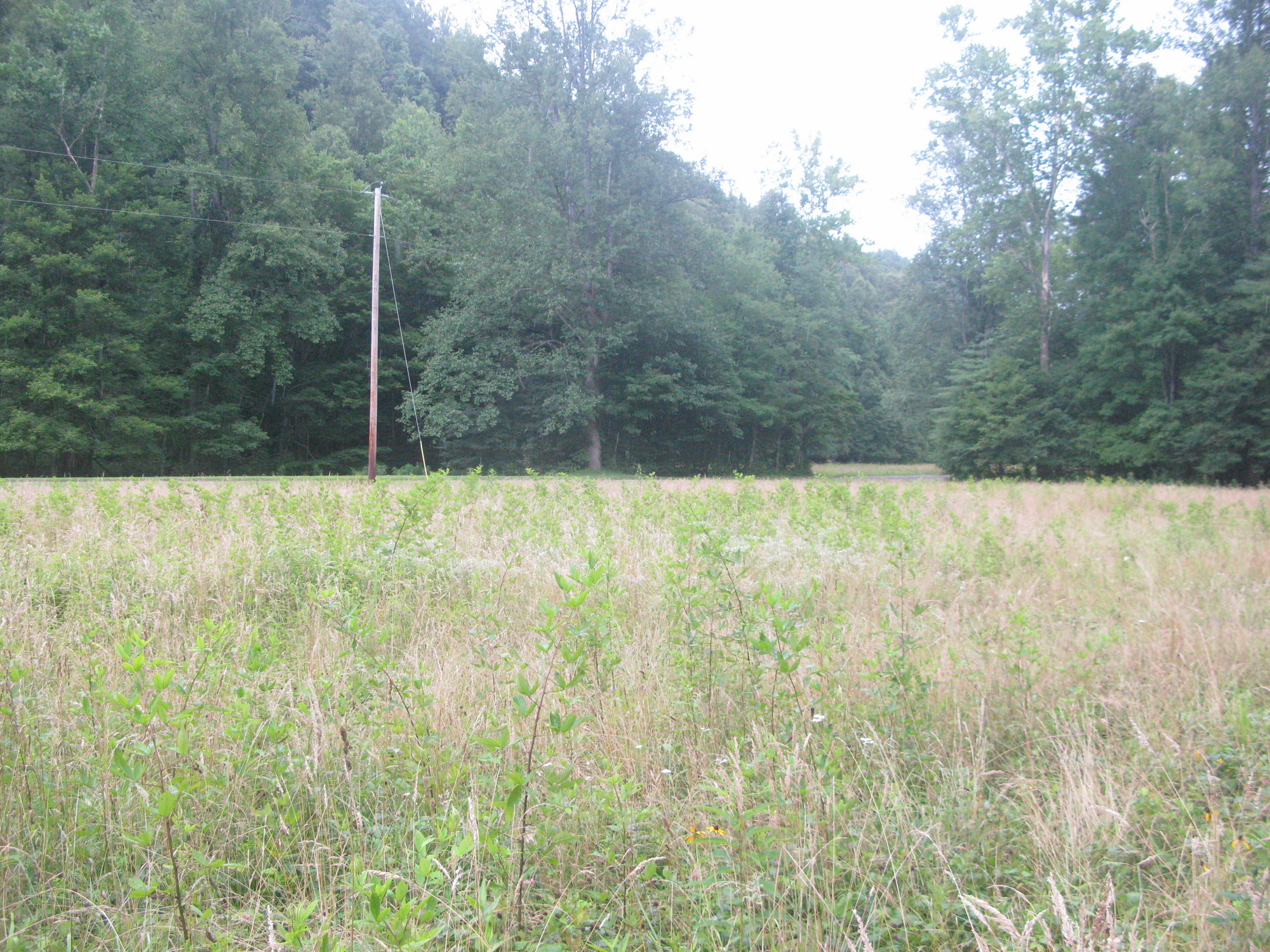 GRSM Accuracy Assessment. Plot Code: GRSM_AA_0730_2