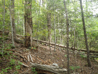 GRSM Accuracy Assessment. Plot Code: GRSM_AA_0326_6