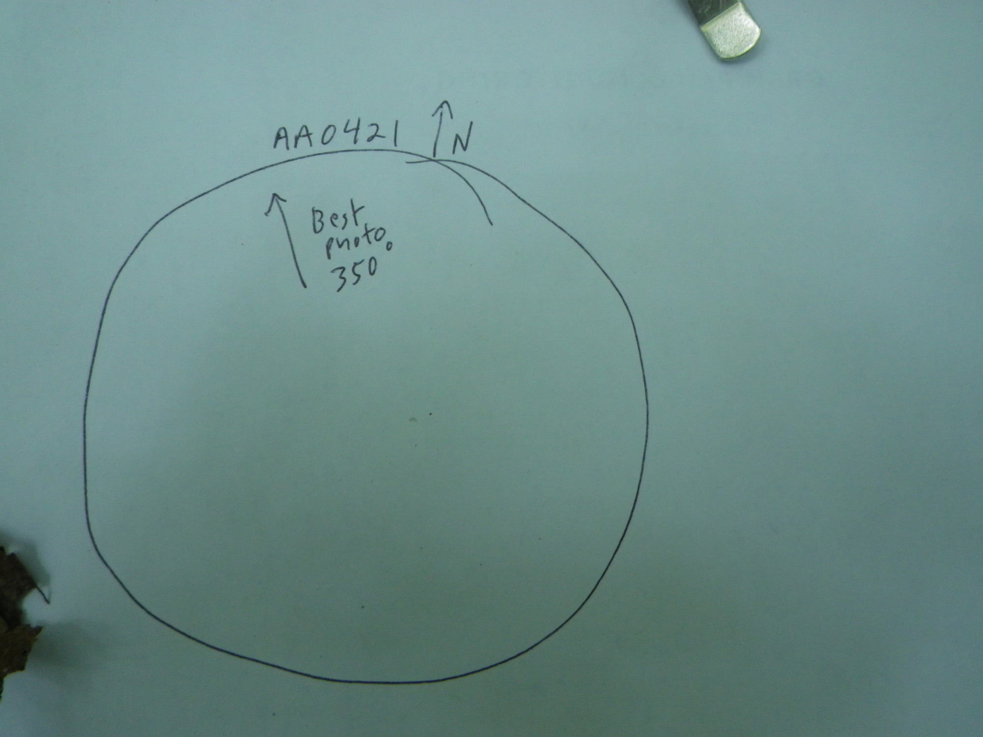 GRSM Accuracy Assessment. Plot Code: GRSM_AA_0421_7