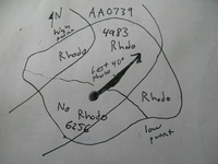 GRSM Accuracy Assessment. Plot Code: GRSM_AA_0739_7