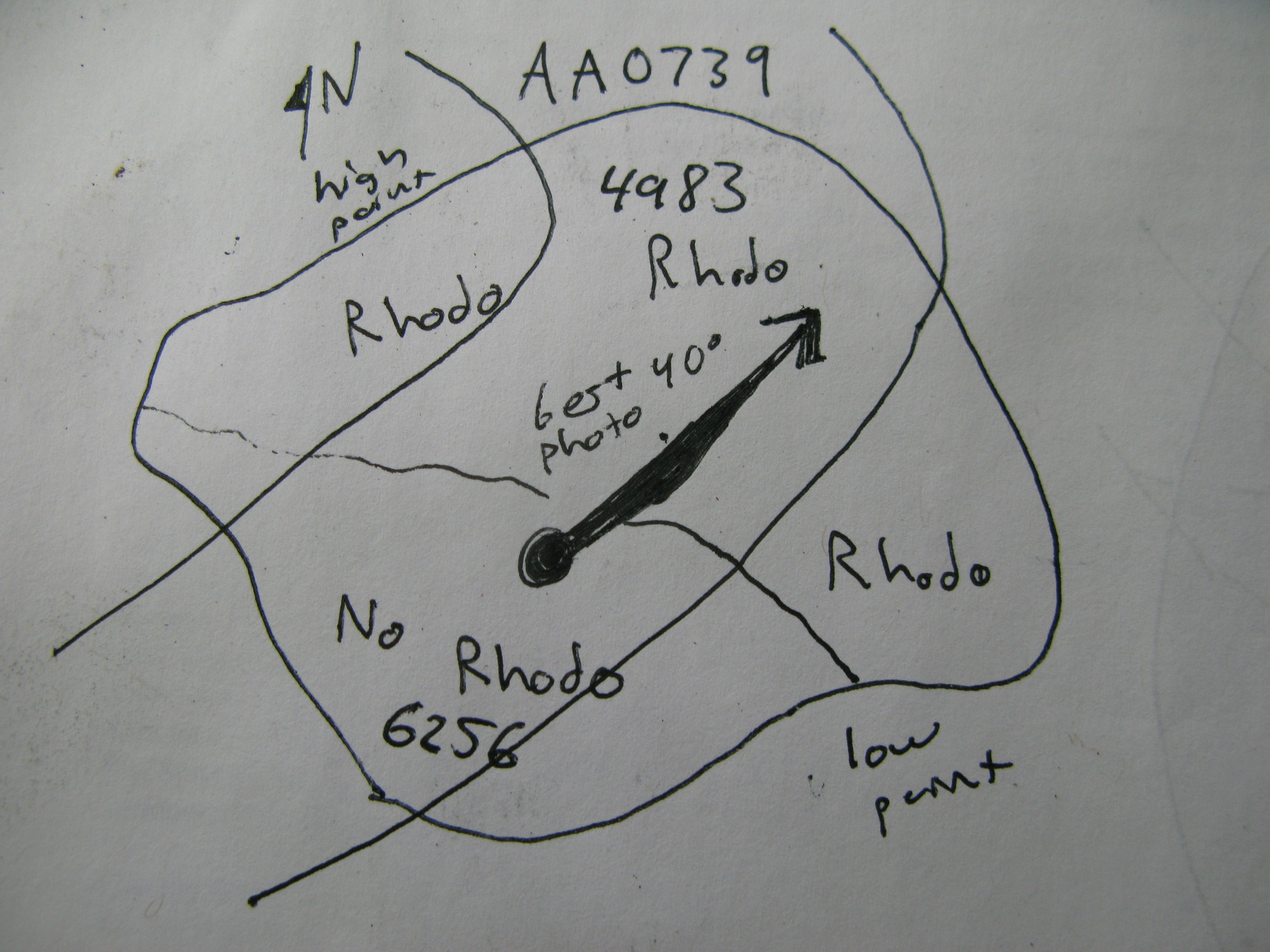 GRSM Accuracy Assessment. Plot Code: GRSM_AA_0739_7