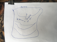 GRSM Accuracy Assessment. Plot Code: GRSM_AA_0406_7
