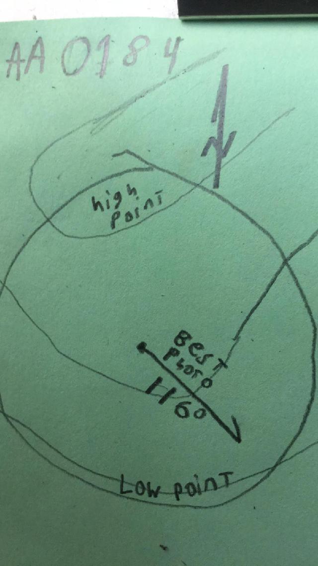 GRSM Accuracy Assessment. Plot Code: GRSM_AA_0184_map