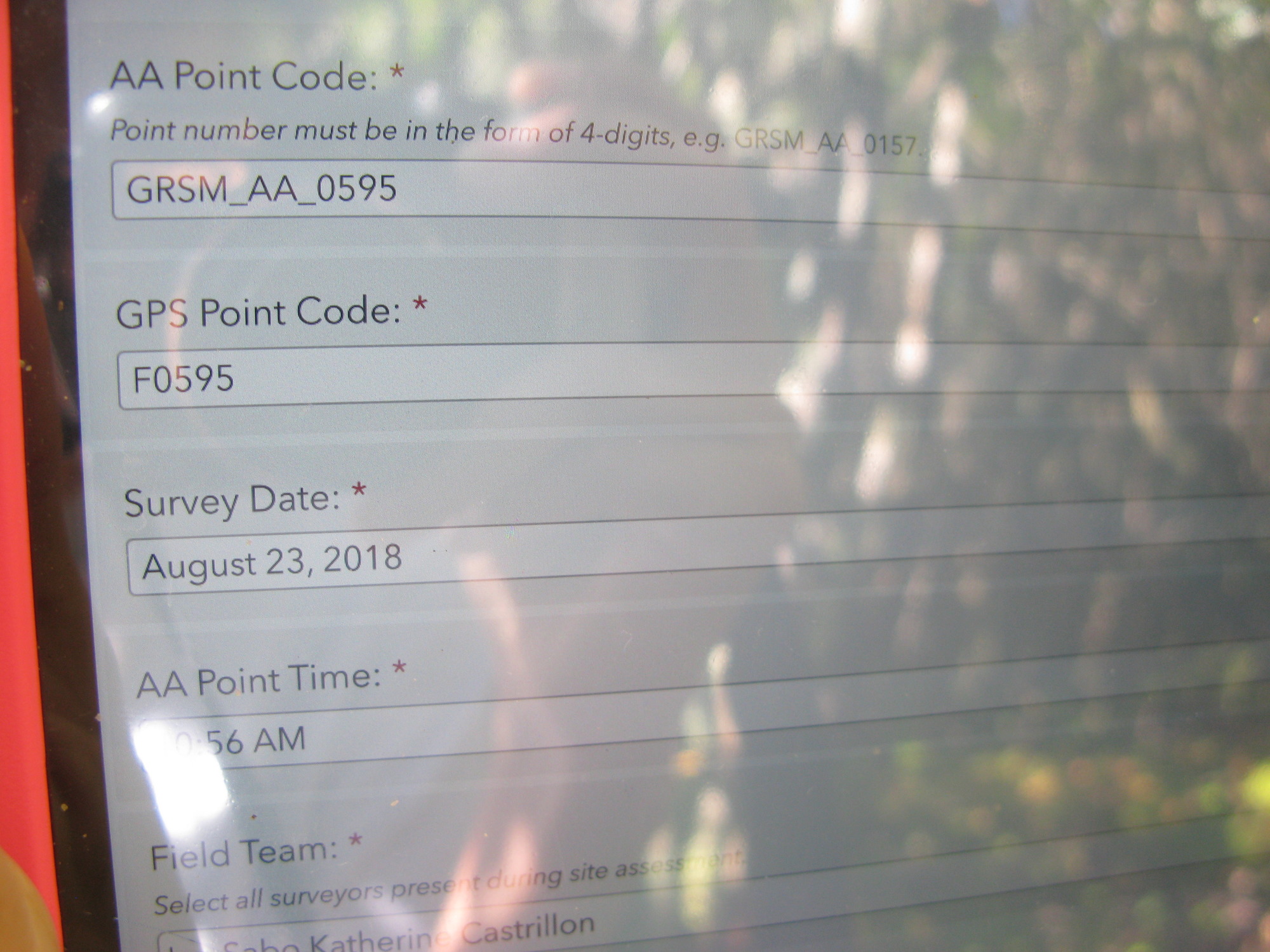 GRSM Accuracy Assessment. Plot Code: GRSM_AA_0595_1