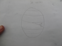 GRSM Accuracy Assessment. Plot Code: GRSM_AA_0397_7
