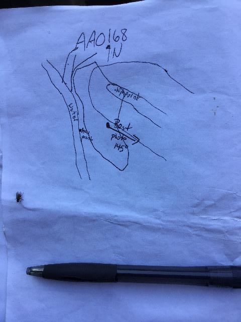 GRSM Accuracy Assessment. Plot Code: GRSM_AA_0168_map