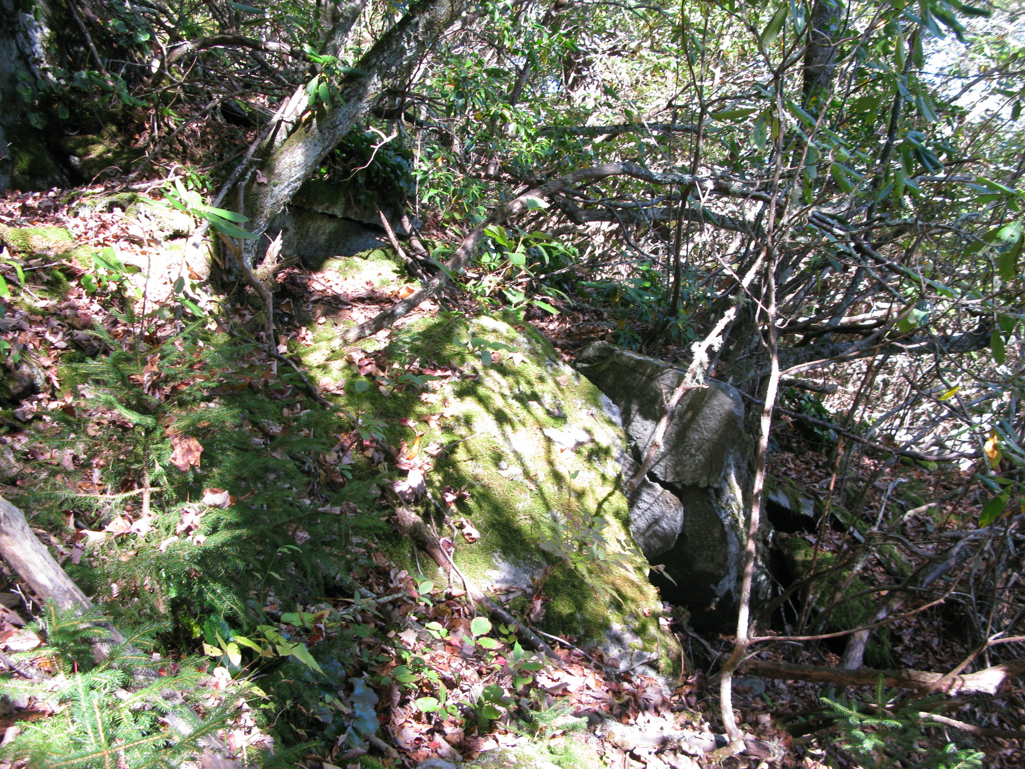 GRSM Accuracy Assessment. Plot Code: GRSM_AA_0325_3