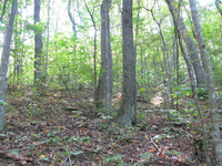 GRSM Accuracy Assessment. Plot Code: GRSM_AA_0175_3