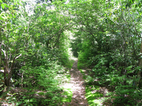 GRSM Accuracy Assessment. Plot Code: GRSM_AA_0599_2