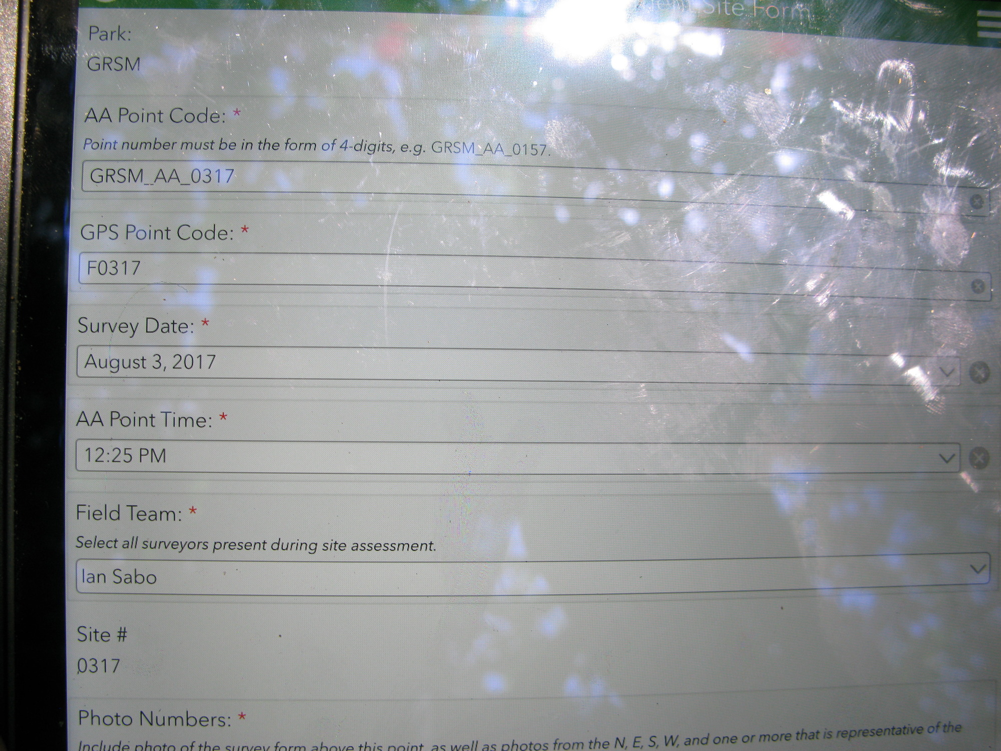 GRSM Accuracy Assessment. Plot Code: GRSM_AA_0317_1