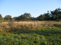 GRSM Accuracy Assessment. Plot Code: GRSM_AA_0305_2