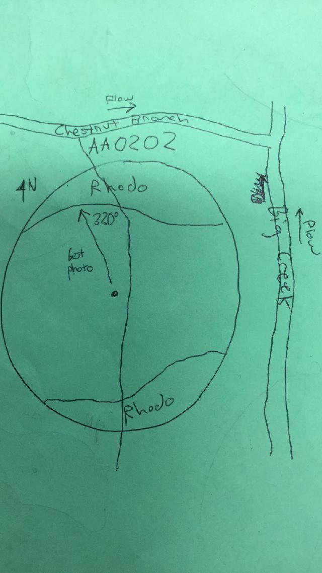 GRSM Accuracy Assessment. Plot Code: GRSM_AA_0202_map