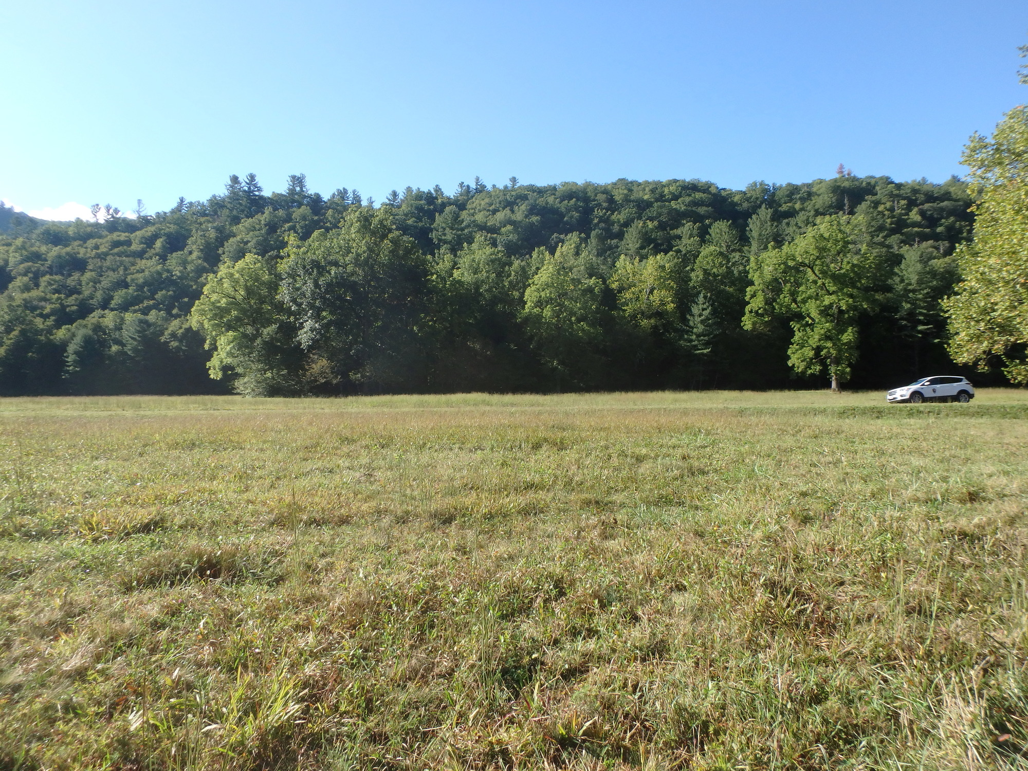 GRSM Accuracy Assessment. Plot Code: GRSM_AA_0064_4