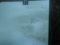 Plot Code: GRSM_AA_0650_7