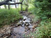 GRSM Accuracy Assessment. Plot Code: GRSM_AA_0714_6