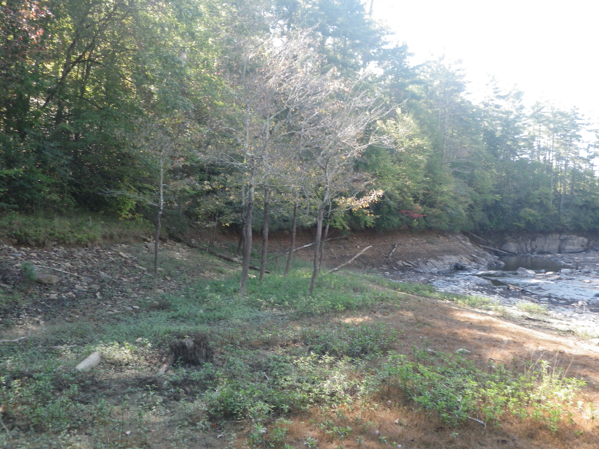 GRSM Accuracy Assessment. Plot Code: GRSM_AA_0168_4