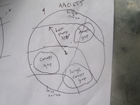 GRSM Accuracy Assessment. Plot Code: GRSM_AA_0655_7