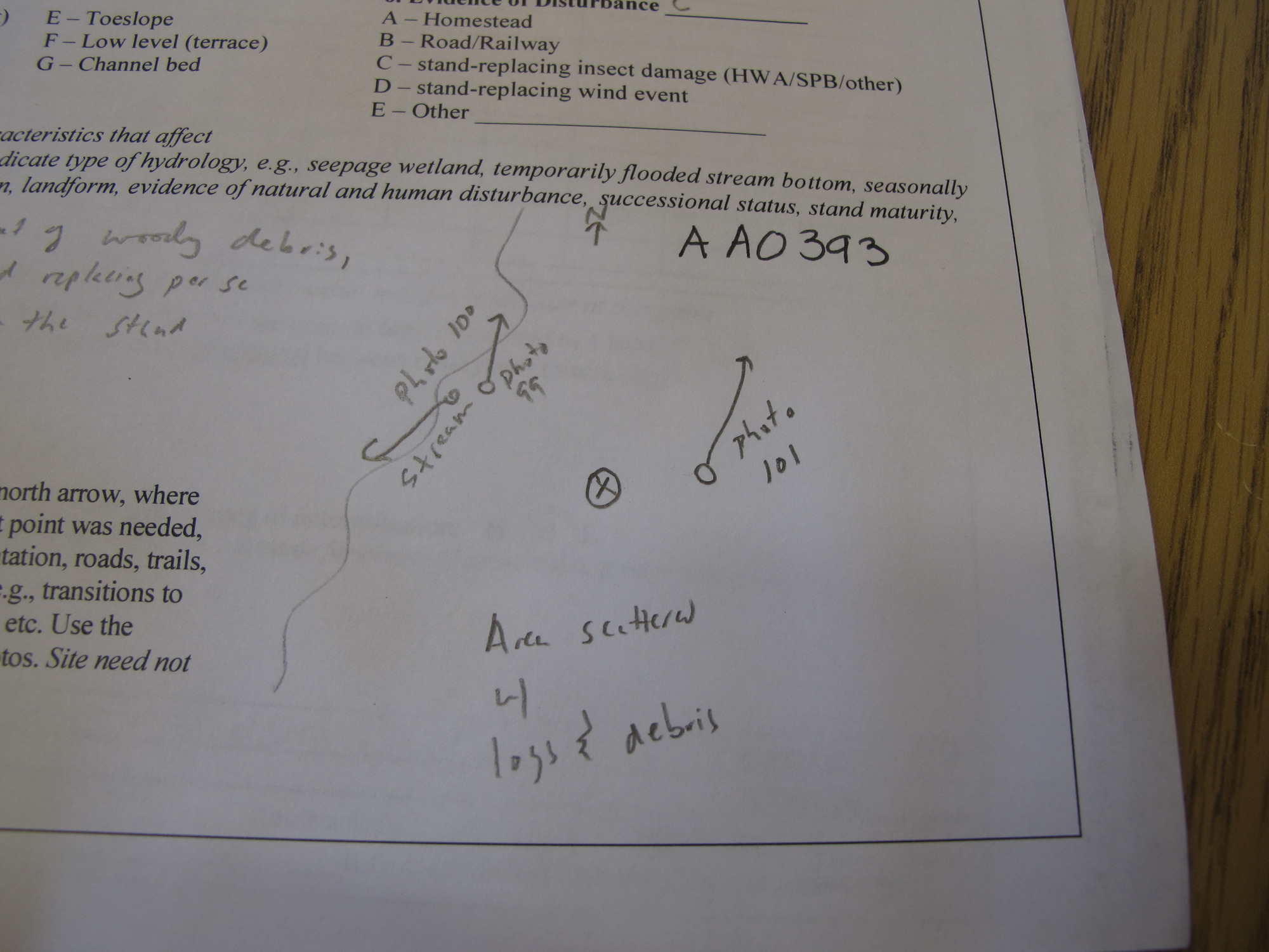 GRSM Accuracy Assessment. Plot Code: GRSM_AA_0393_7