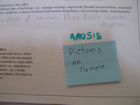 GRSM Accuracy Assessment. Plot Code: GRSM_AA_0518_7