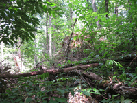 GRSM Accuracy Assessment. Plot Code: GRSM_AA_0456_3