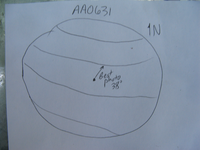 GRSM Accuracy Assessment. Plot Code: GRSM_AA_0631_7