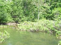 GRSM Accuracy Assessment. Plot Code: GRSM_AA_0006_3