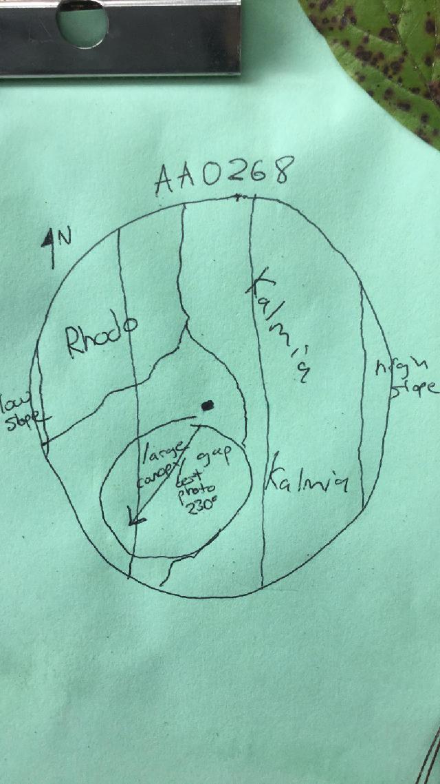 GRSM Accuracy Assessment. Plot Code: GRSM_AA_0268_map