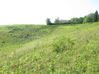 GRSM Accuracy Assessment. Plot Code: GRSM_AA_0092_4