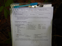 GRSM Accuracy Assessment. Plot Code: GRSM_AA_0714_1