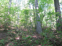 GRSM Accuracy Assessment. Plot Code: GRSM_AA_0401_2