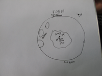 GRSM Accuracy Assessment. Plot Code: GRSM_AA_0519_7