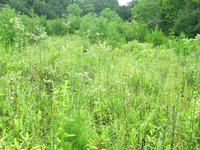 Plot Code: GRSM_AA_0653_6