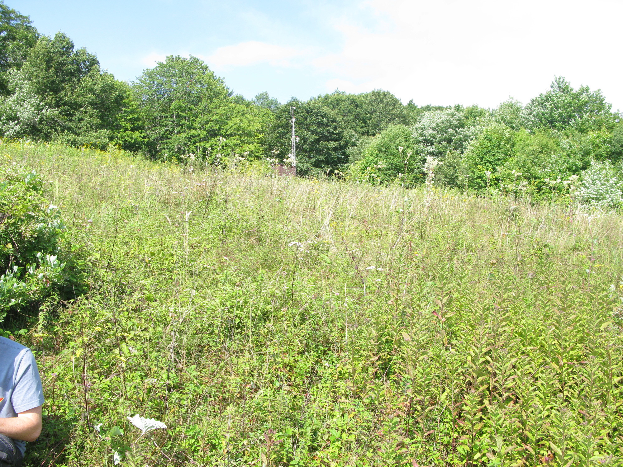 GRSM Accuracy Assessment. Plot Code: GRSM_AA_0092_5