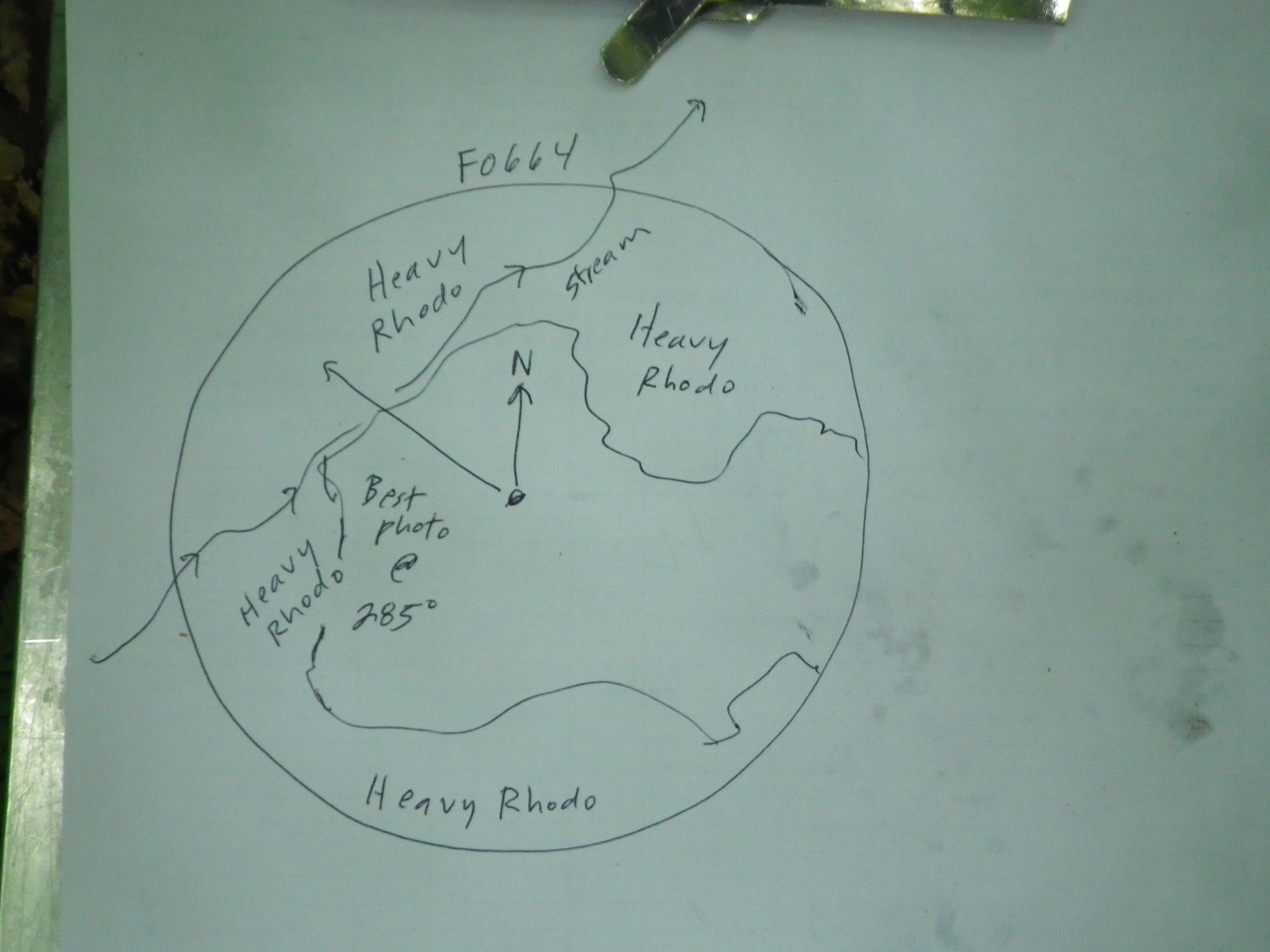 GRSM Accuracy Assessment. Plot Code: GRSM_AA_0664_7