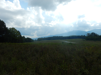 GRSM Accuracy Assessment. Plot Code: GRSM_AA_0633_6