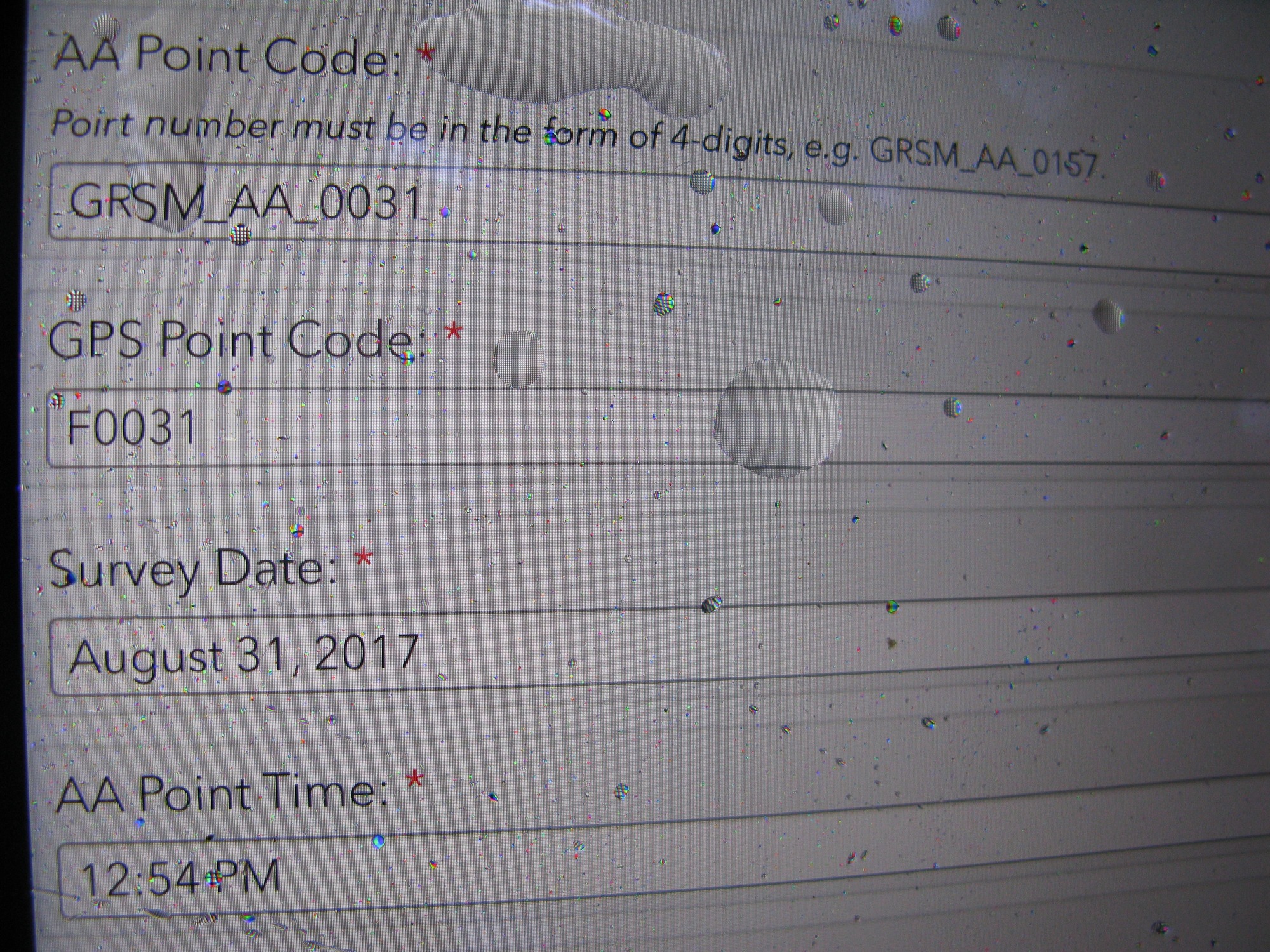 GRSM Accuracy Assessment. Plot Code: GRSM_AA_0031_1
